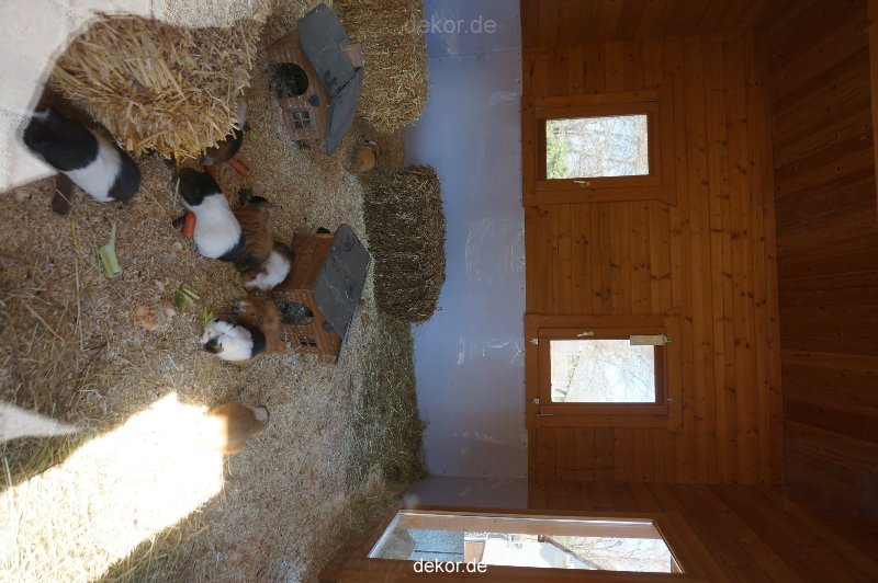 zoo-bochum-zoo-2015-03-11-115