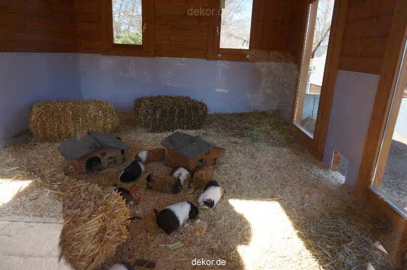 zoo-bochum-zoo-2015-03-11-116