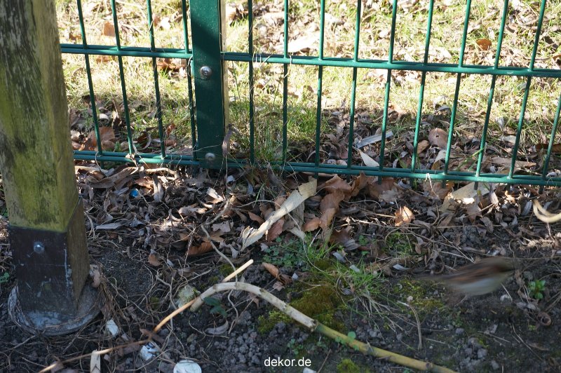 zoo-bochum-zoo-2015-03-11-125