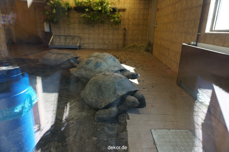 zoo-bochum-zoo-2015-03-11-130