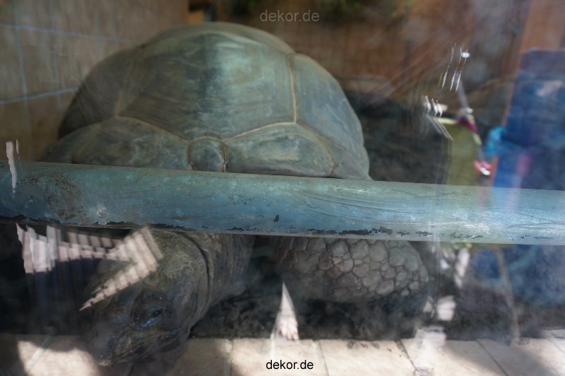 zoo-bochum-zoo-2015-03-11-131