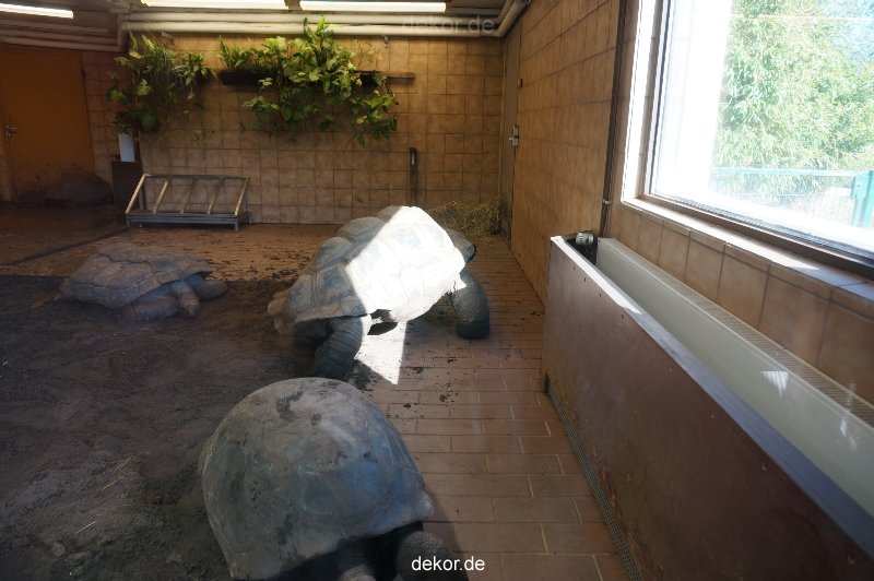 zoo-bochum-zoo-2015-03-11-134