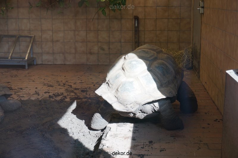 zoo-bochum-zoo-2015-03-11-135
