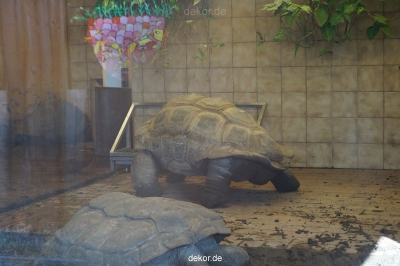 zoo-bochum-zoo-2015-03-11-136