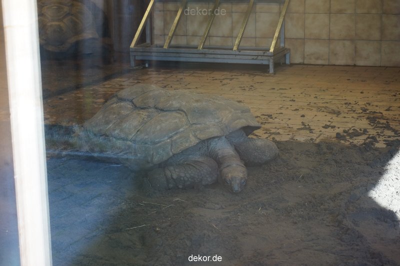 zoo-bochum-zoo-2015-03-11-139