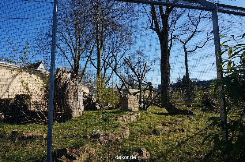 zoo-bochum-zoo-2015-03-11-146
