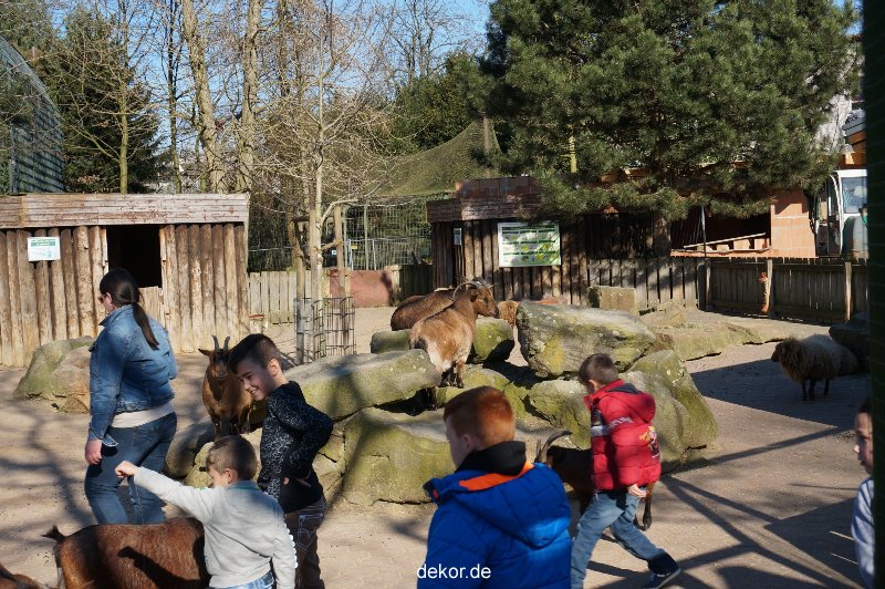 zoo-bochum-zoo-2015-03-11-149