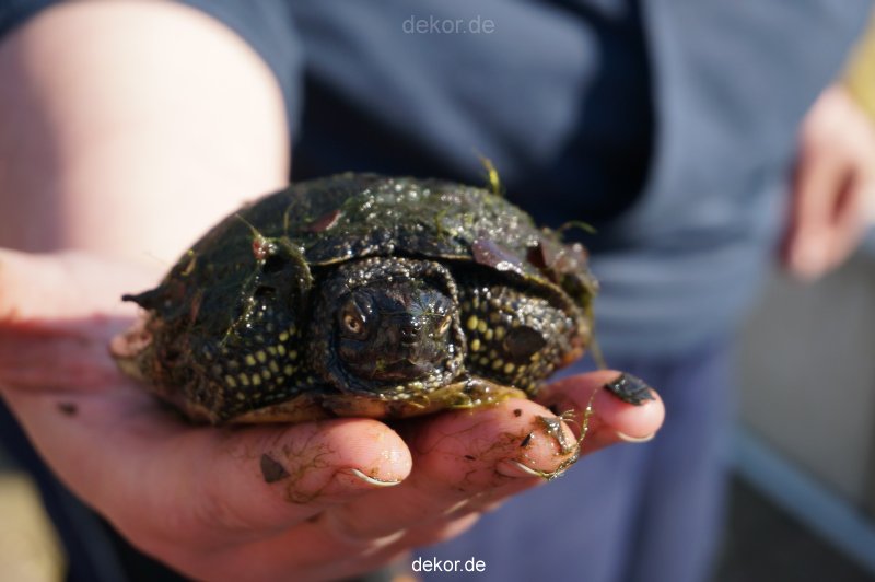 zoo-bochum-zoo-2015-03-11-153