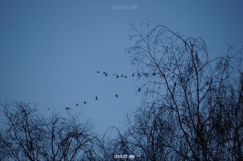 zoo-bochum-zoo-2015-03-11-160