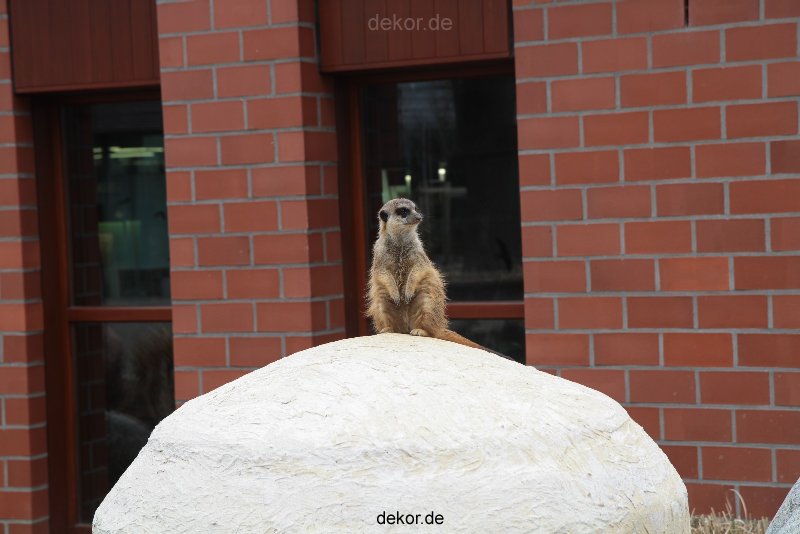 zoo-bochum-zoo-2015-03-28-001