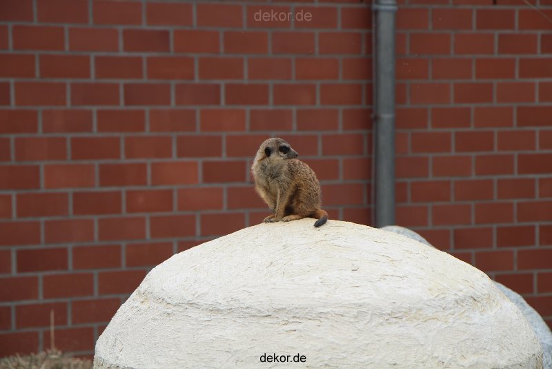 zoo-bochum-zoo-2015-03-28-004