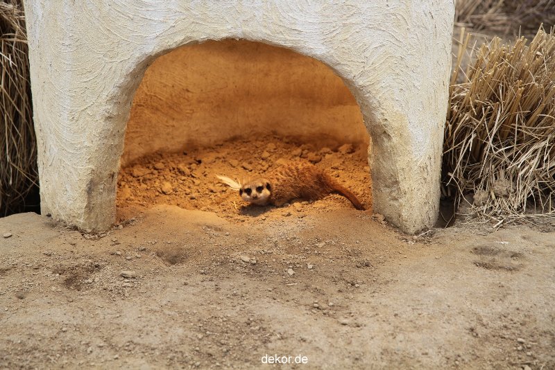 zoo-bochum-zoo-2015-03-28-006