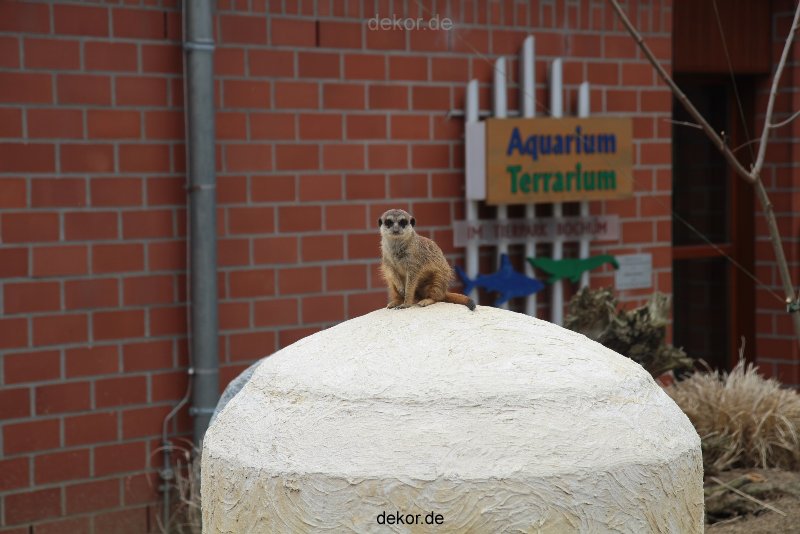 zoo-bochum-zoo-2015-03-28-012