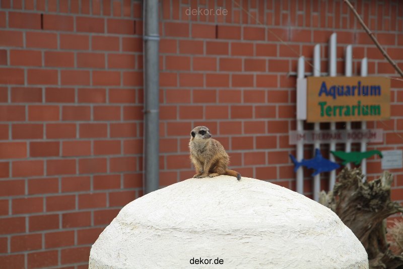 zoo-bochum-zoo-2015-03-28-014