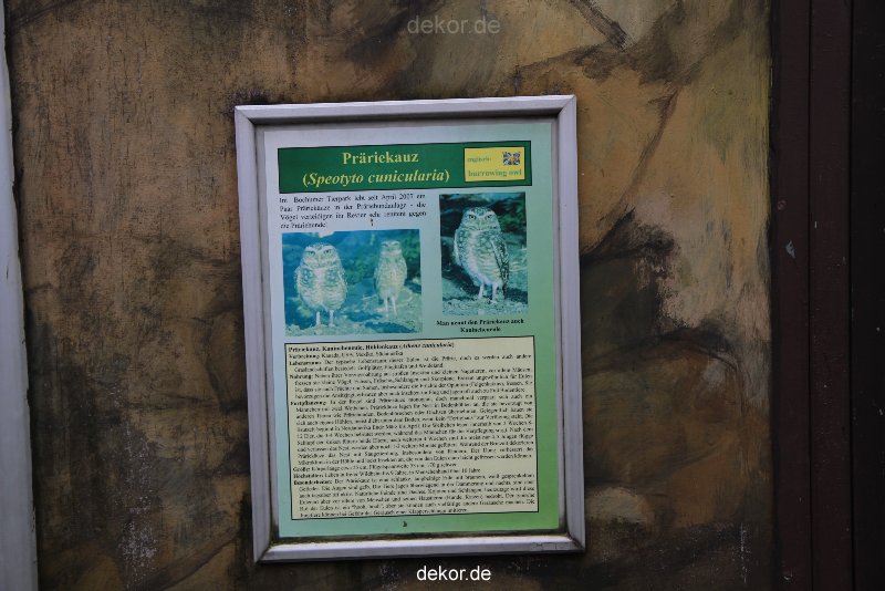 zoo-bochum-zoo-2015-03-28-022