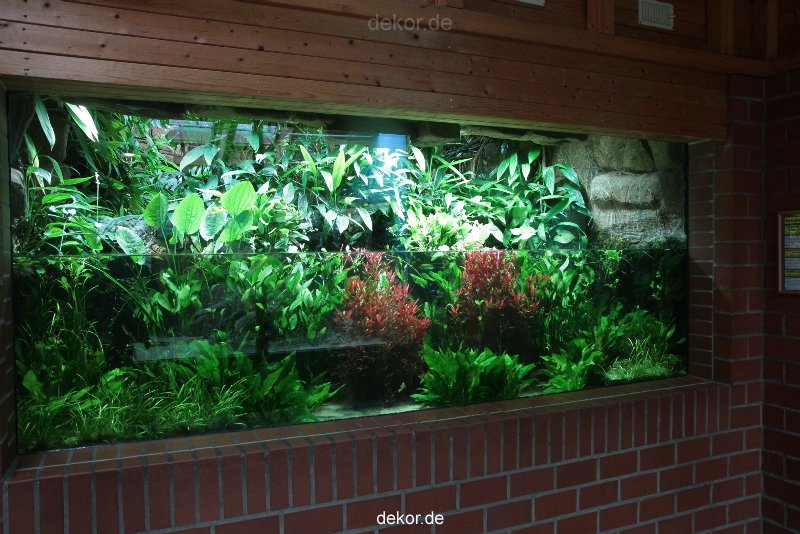 zoo-bochum-zoo-2015-03-28-030