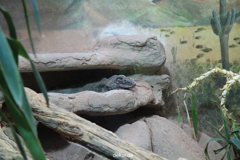 zoo-bochum-zoo-2015-03-28-032