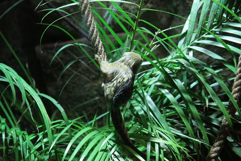 zoo-bochum-zoo-2015-03-28-044