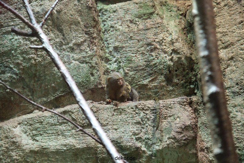 zoo-bochum-zoo-2015-03-28-048