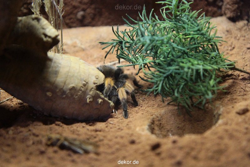 zoo-bochum-zoo-2015-03-28-053