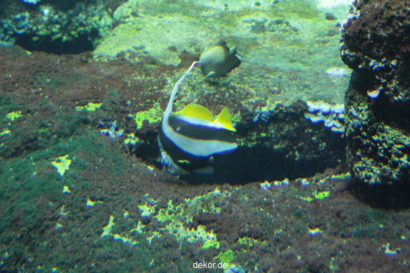 zoo-bochum-zoo-2015-03-28-064