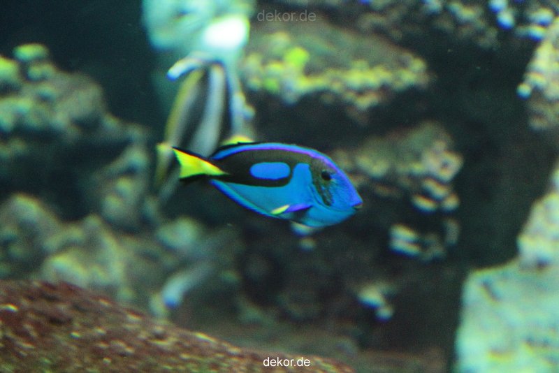 zoo-bochum-zoo-2015-03-28-072