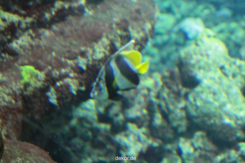 zoo-bochum-zoo-2015-03-28-073