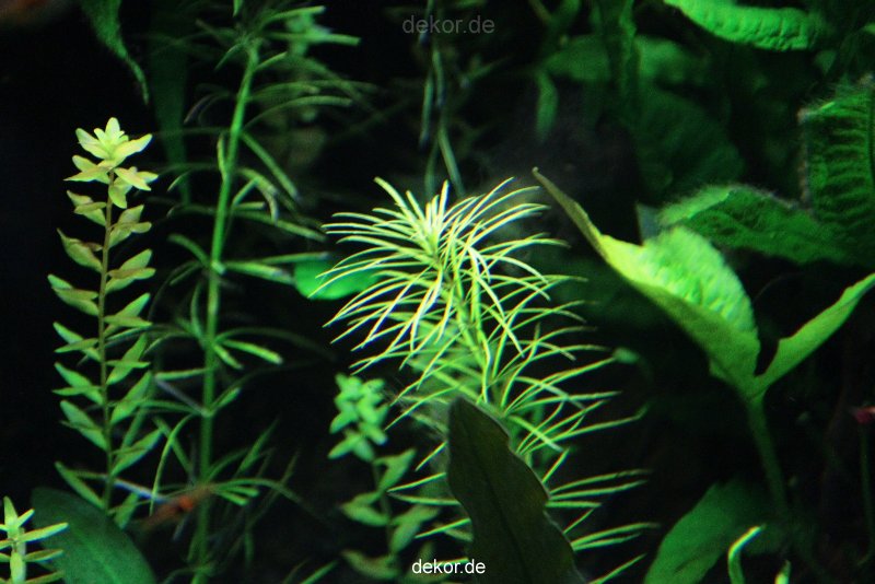 zoo-bochum-zoo-2015-03-28-120