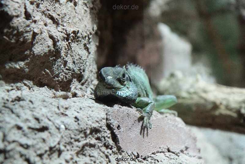 zoo-bochum-zoo-2015-03-28-155