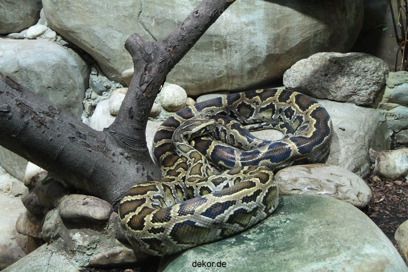 zoo-bochum-zoo-2015-03-28-158