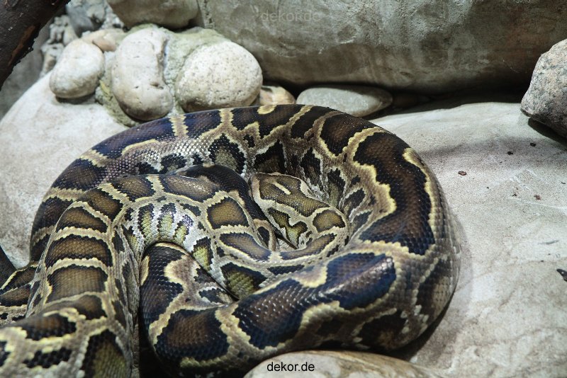 zoo-bochum-zoo-2015-03-28-161