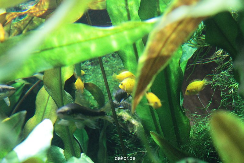 zoo-bochum-zoo-2015-03-28-164