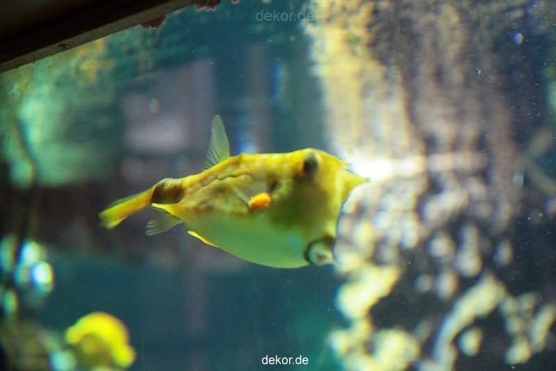 zoo-bochum-zoo-2015-03-28-213