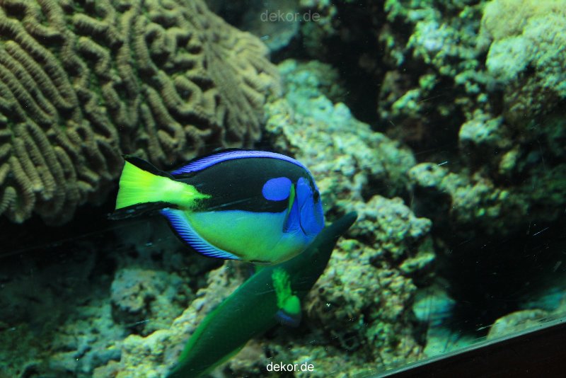 zoo-bochum-zoo-2015-03-28-222