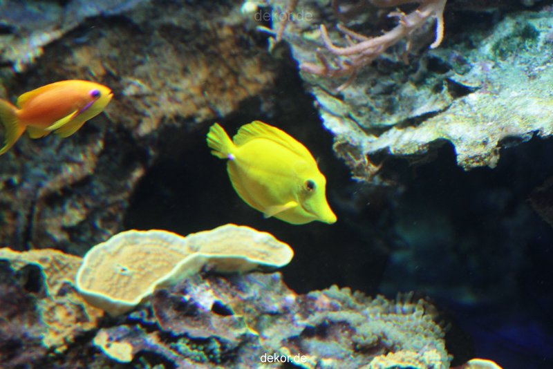 zoo-bochum-zoo-2015-03-28-227