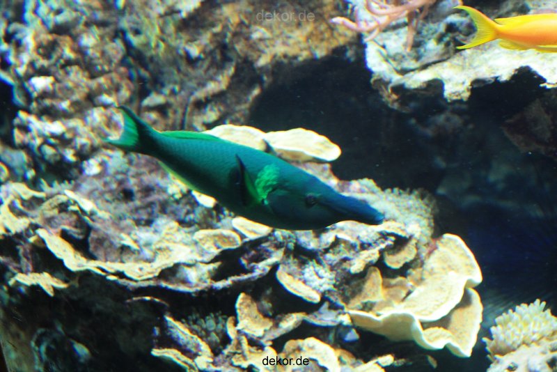 zoo-bochum-zoo-2015-03-28-234