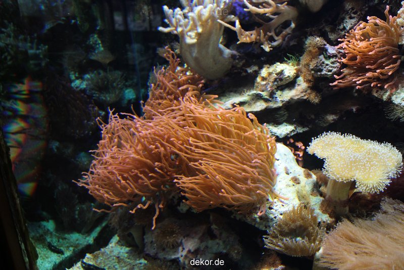 zoo-bochum-zoo-2015-03-28-263