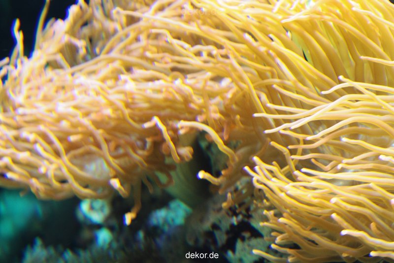 zoo-bochum-zoo-2015-03-28-268