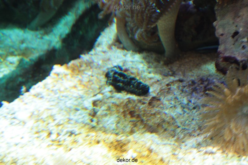 zoo-bochum-zoo-2015-03-28-276
