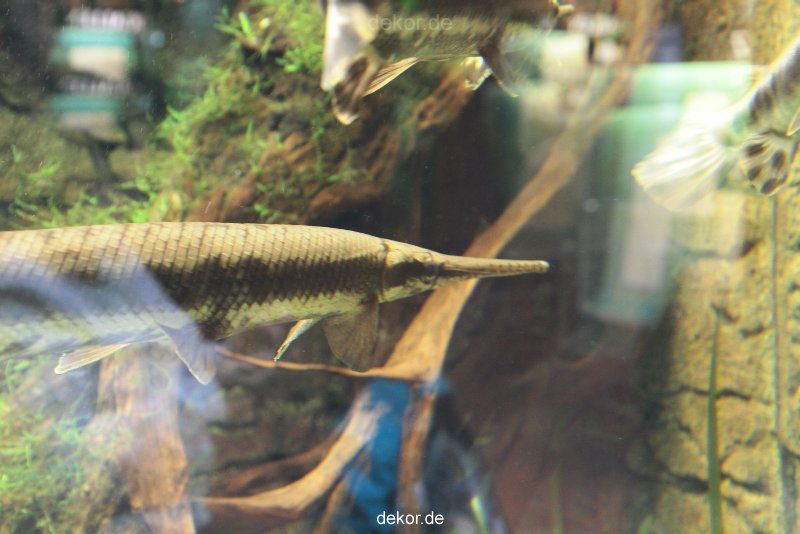zoo-bochum-zoo-2015-03-28-283