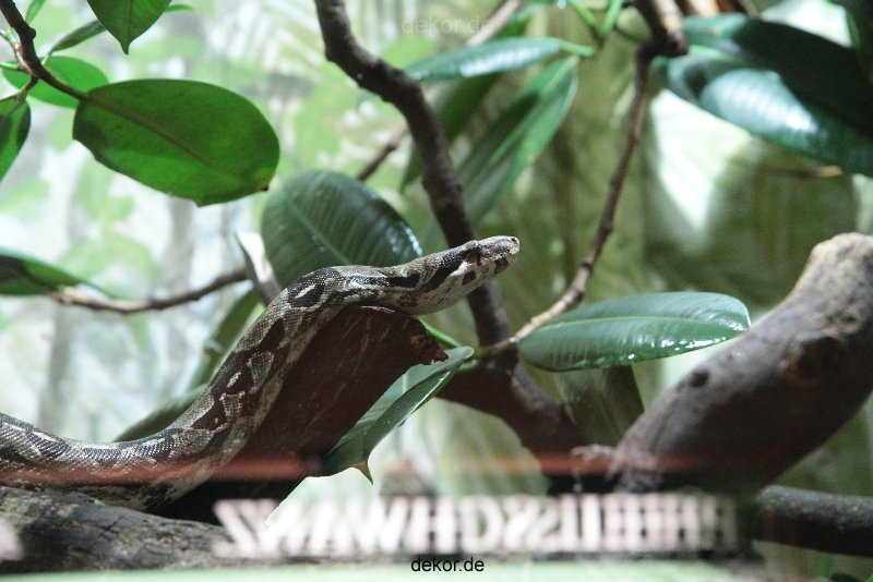 zoo-bochum-zoo-2015-03-28-293