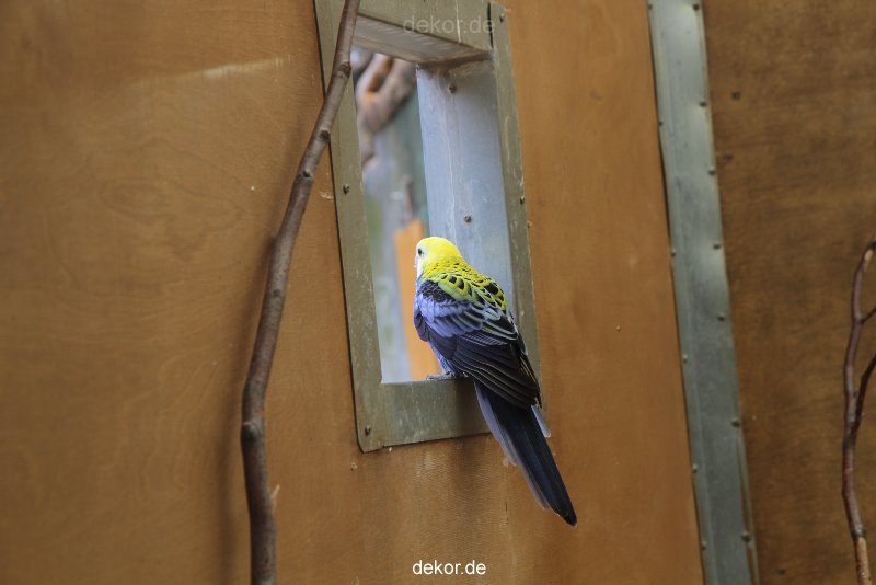 zoo-bochum-zoo-2015-03-28-304