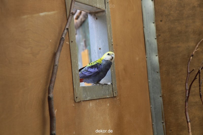zoo-bochum-zoo-2015-03-28-305