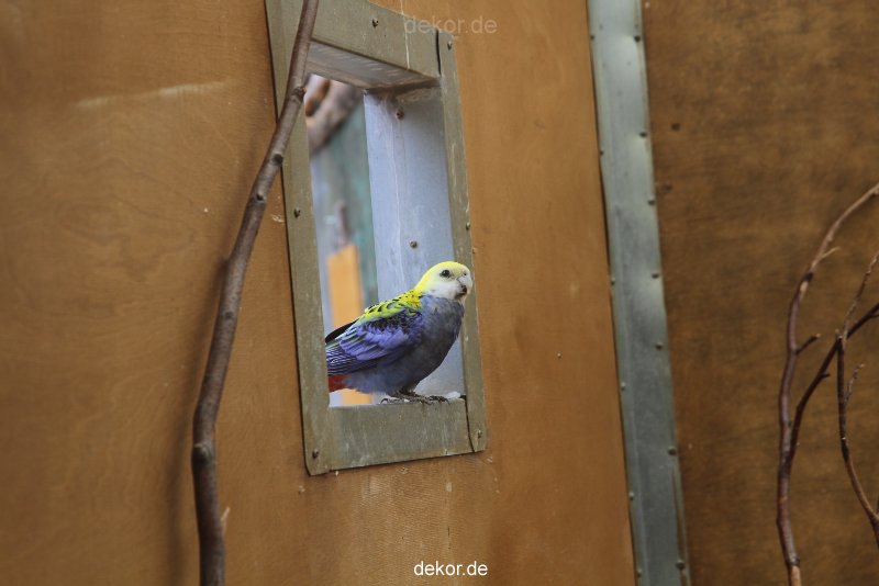 zoo-bochum-zoo-2015-03-28-306