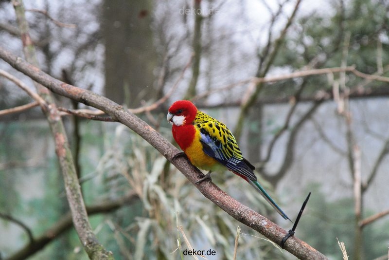 zoo-bochum-zoo-2015-03-28-310