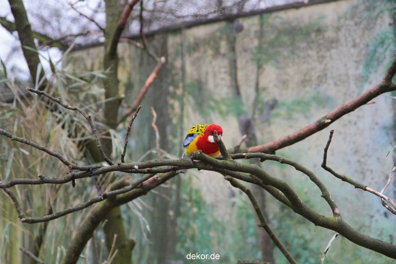 zoo-bochum-zoo-2015-03-28-311