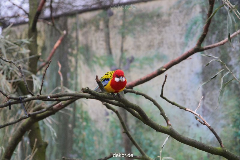 zoo-bochum-zoo-2015-03-28-312