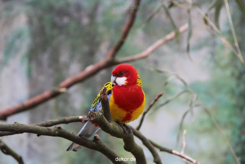 zoo-bochum-zoo-2015-03-28-315