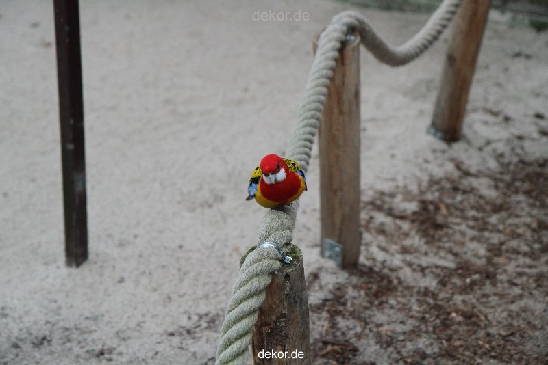 zoo-bochum-zoo-2015-03-28-317