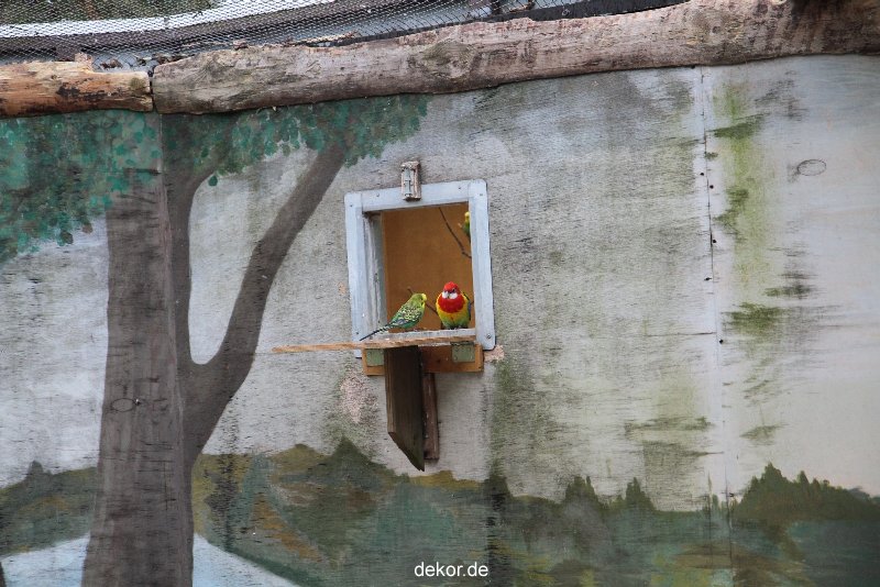 zoo-bochum-zoo-2015-03-28-318